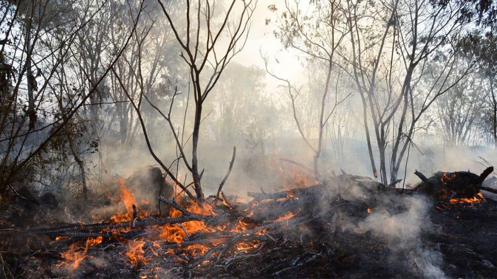 Buntut dari salah satu kebakaran hutan yang melanda tanah adat di Brazil